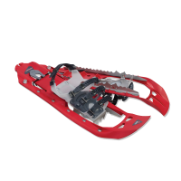 snowshoes